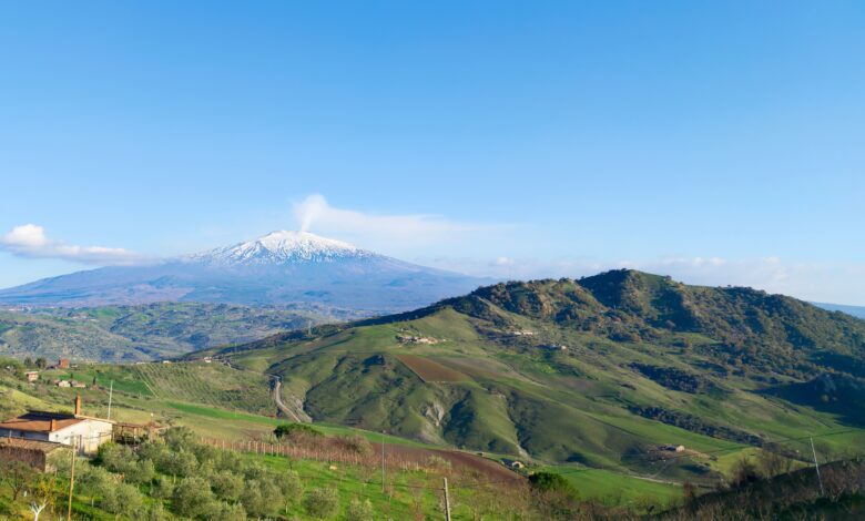 Etna Wine Tour Volcano Wineries Sicily